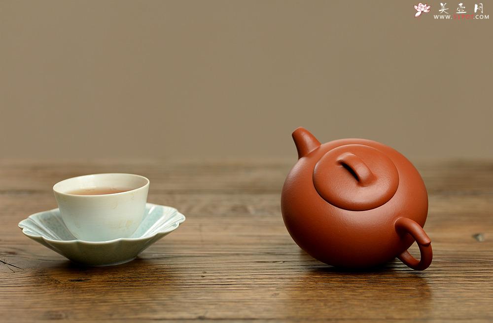 紫砂壶图片：徐亚春作品 实用性强 优质朱泥 娇艳可人 红泉 - 美壶网