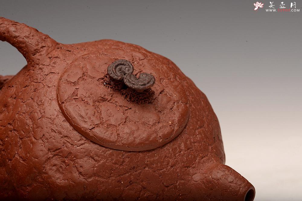 紫砂壶图片：肌理自然生动 全手灵芝龚春 古朴之味 - 美壶网