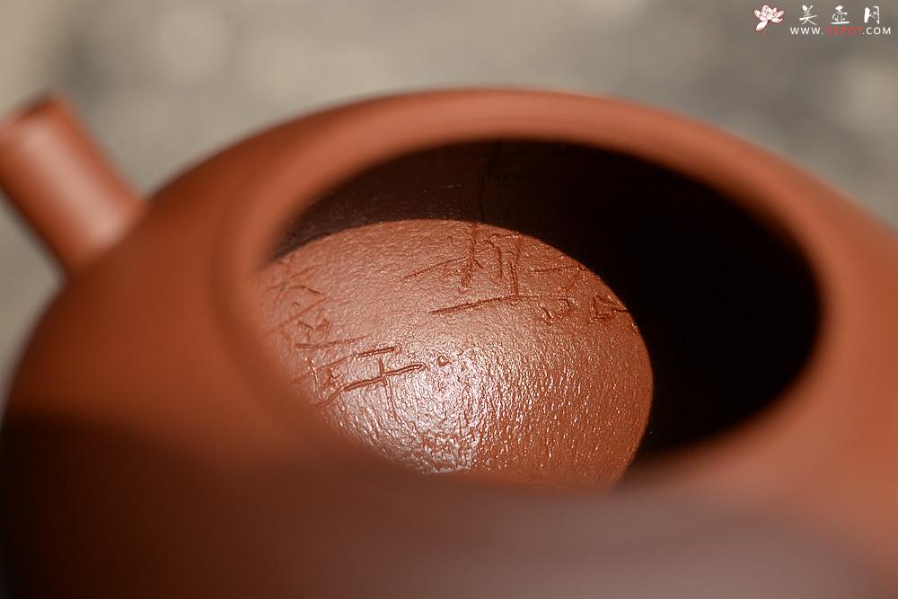 紫砂壶图片：詹黎明文气作品 别具风韵 全手巨轮珠 夏日畅饮必备 - 美壶网