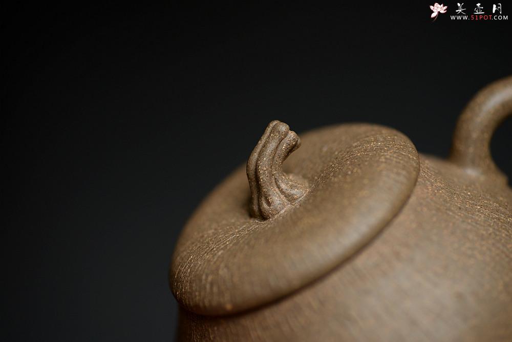 紫砂壶图片：潘小东全手新作 学院风 亭亭玉立 文气可人 玉瓜 - 美壶网