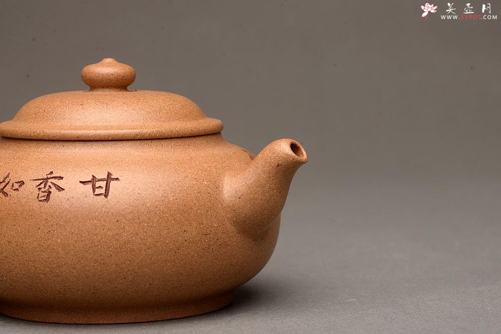 紫砂壶图片：颇有玩味 渐入佳境  全手乳丁 老段泥 - 美壶网