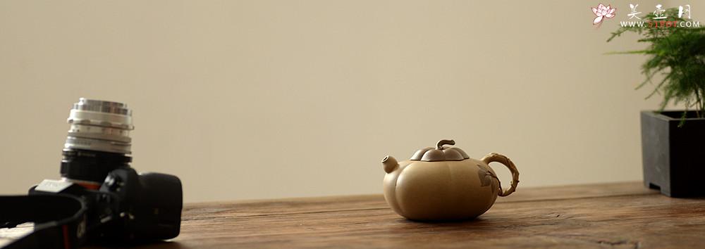 紫砂壶图片：顾正芳乙未年秋全手新作 曼妙田园 诗情画意 琼姿 优质本山绿 - 美壶网