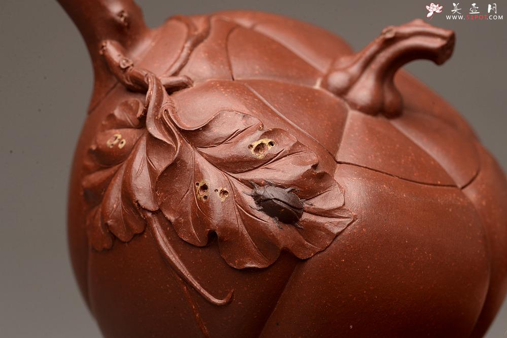 紫砂壶图片：原创作品 孙伟强张新亚合作 贴叶精湛 灵巧曼妙 小南瓜 - 美壶网