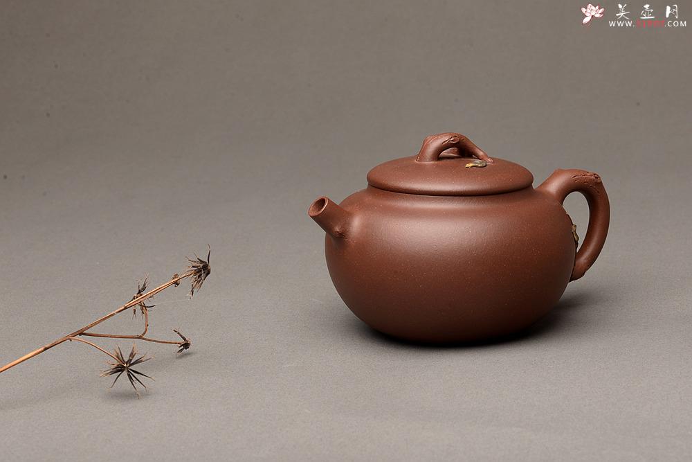 紫砂壶图片：饱满圆润 简意花货 全手脱颖 万阗阗夫人作品 - 美壶网