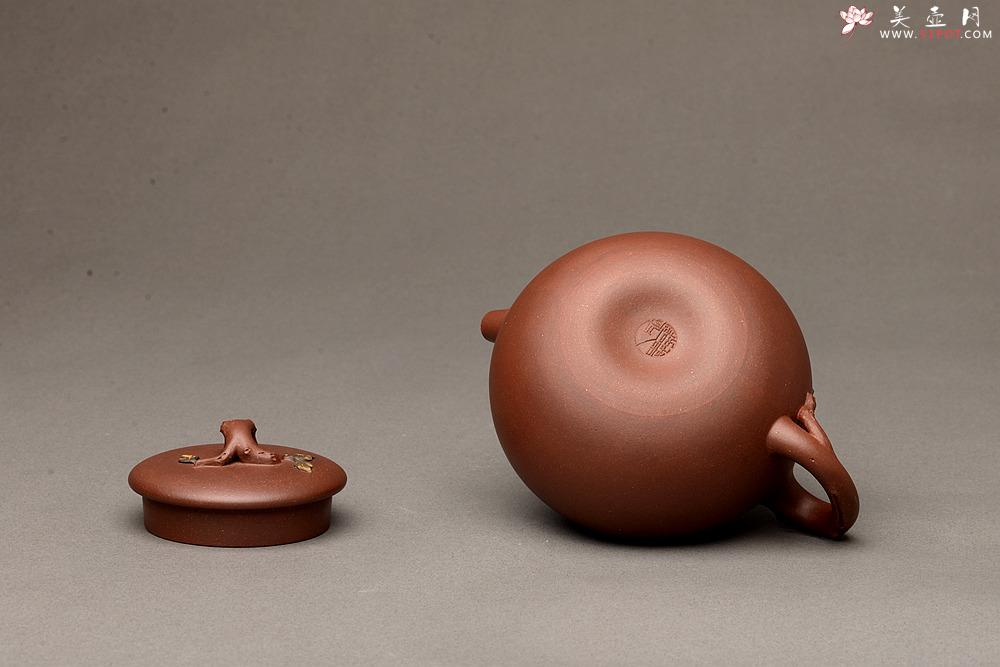 紫砂壶图片：饱满圆润 简意花货 全手脱颖 万阗阗夫人作品 - 美壶网