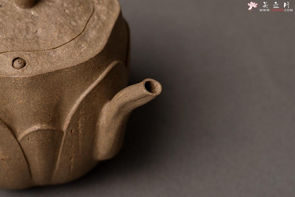 紫砂壶图片：郑志贤最新全手作品 荷香阵阵 学院派风格~ 池莲 - 美壶网