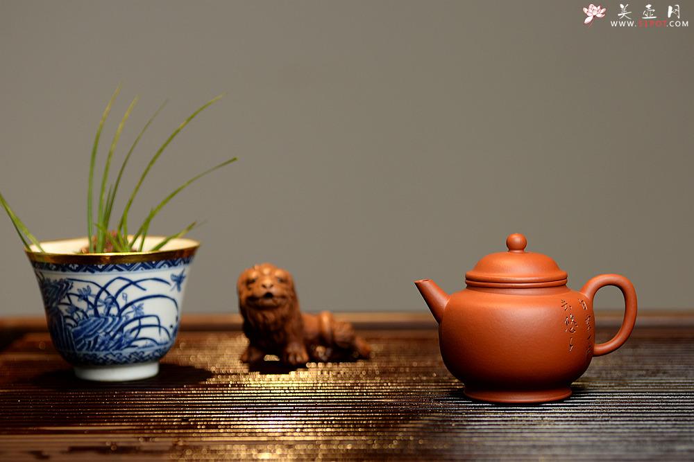 紫砂壶图片：只为茶人 传统器形 铁观音利器 优质朱泥 美壶特惠 全手宫灯 - 美壶网