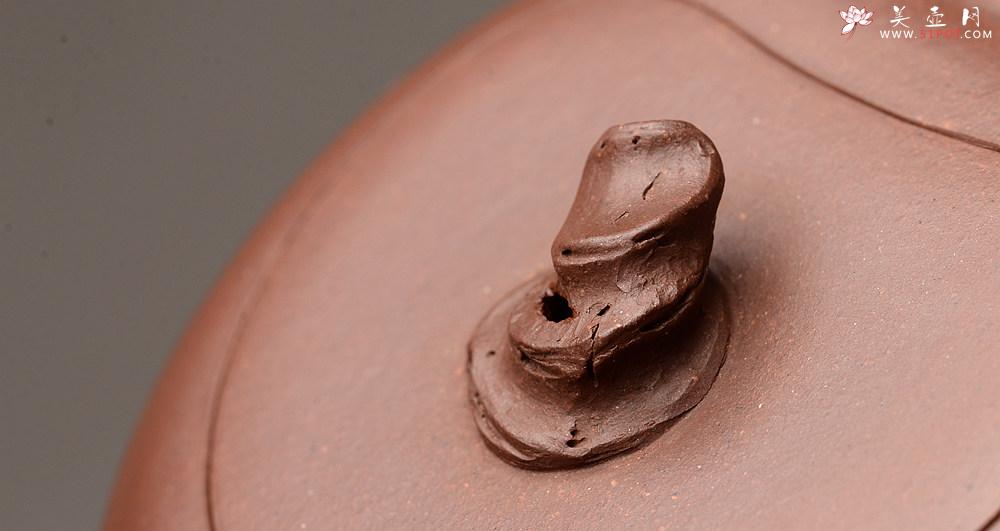 紫砂壶图片：花货新风尚 道法自然 妙趣横生 潘丹初乙未年全手之作 溪竹 - 美壶网