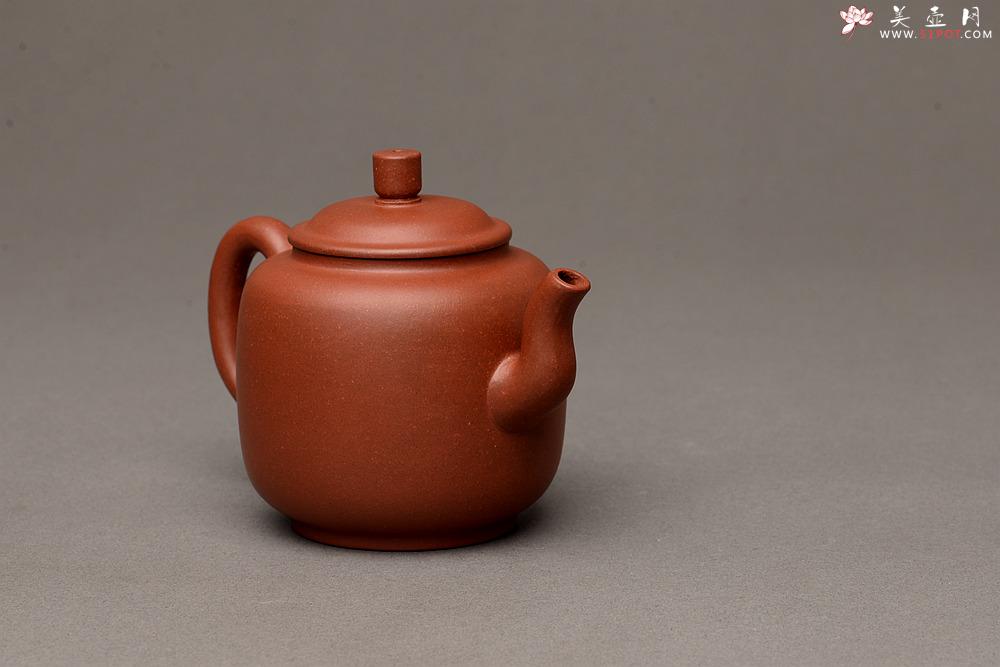 紫砂壶图片:美壶特惠之宫灯 亭亭玉立 有趣实用品 - 美壶网
