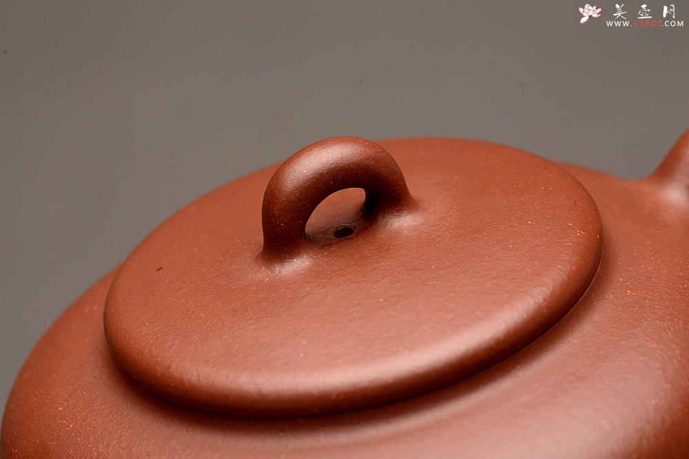 紫砂壶图片：詹黎明全手新品 高路精心装饰 文气雅致  做工精致 全手相知 - 美壶网