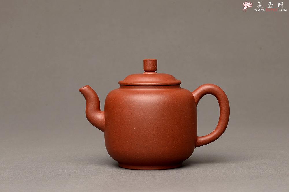 紫砂壶图片:美壶特惠之宫灯 亭亭玉立 有趣实用品 - 美壶网
