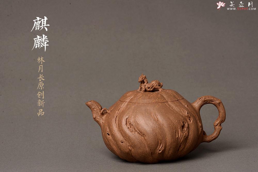 紫砂壶图片：林月长乙未冬全手原创精品 肌理丰富 紫砂新风 学院派  麒麟山音 - 美壶网