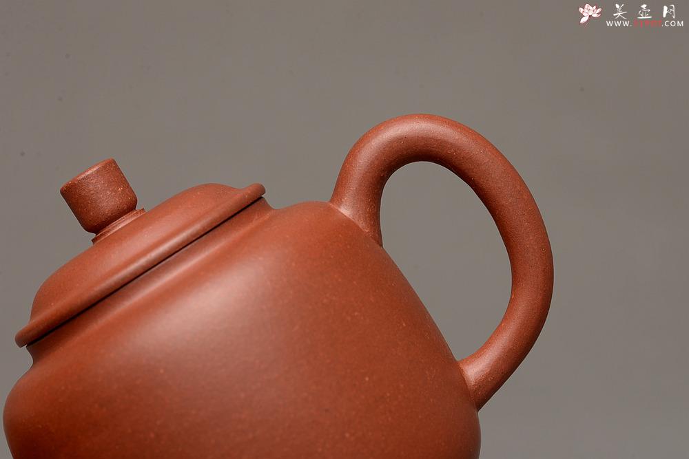 紫砂壶图片:美壶特惠之宫灯 亭亭玉立 有趣实用品 - 美壶网