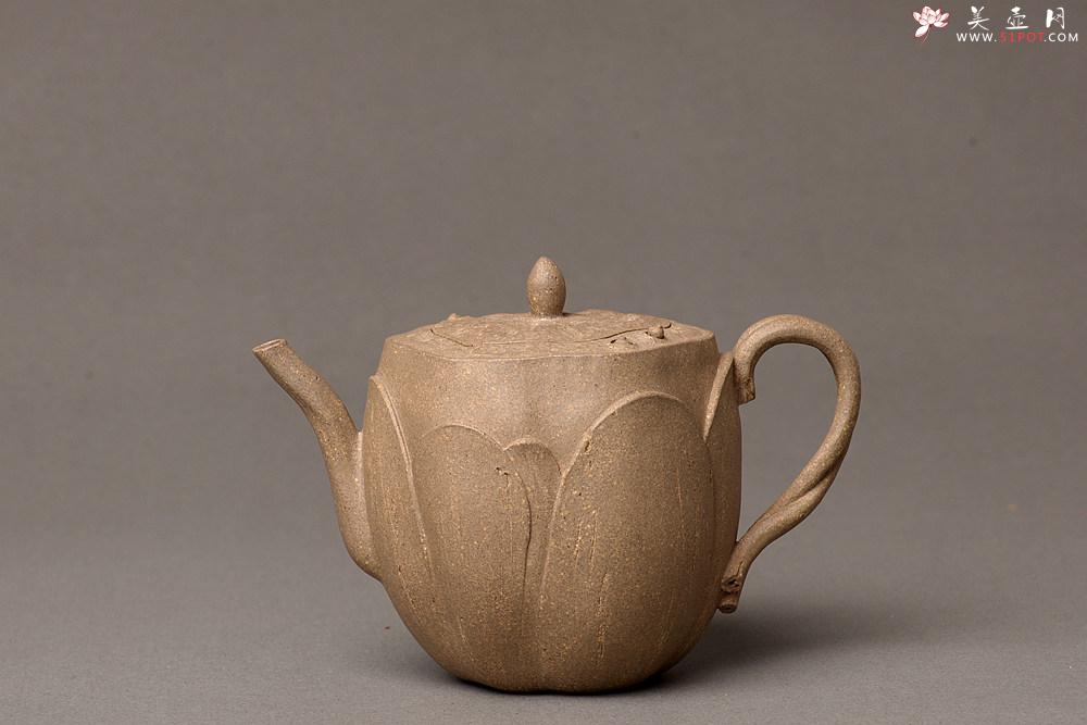 紫砂壶图片：郑志贤最新全手作品 荷香阵阵 学院派风格~ 池莲 - 美壶网