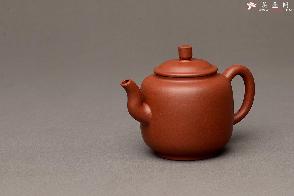 紫砂壶图片:美壶特惠之宫灯 亭亭玉立 有趣实用品 - 美壶网