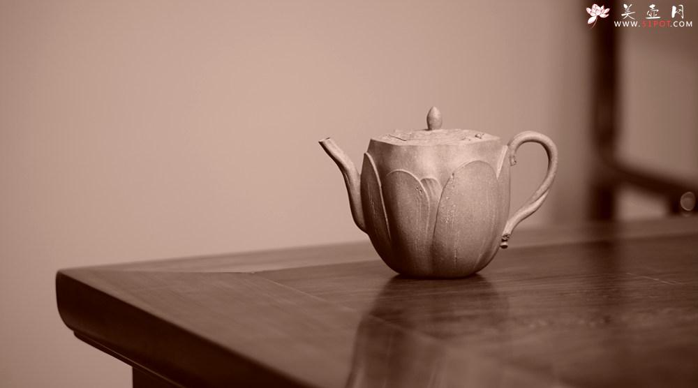 紫砂壶图片：郑志贤最新全手作品 荷香阵阵 学院派风格~ 池莲 - 美壶网