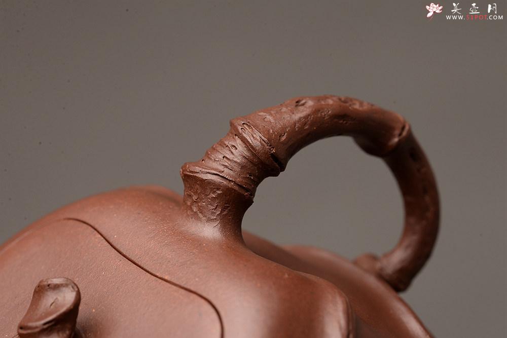 紫砂壶图片：花货新风尚 道法自然 妙趣横生 潘丹初乙未年全手之作 溪竹 - 美壶网