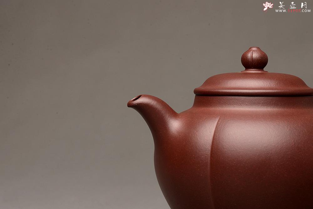 紫砂壶图片：陈进全手新作 大虚极 筋囊器型 难度之大 挺拔优雅 - 美壶网