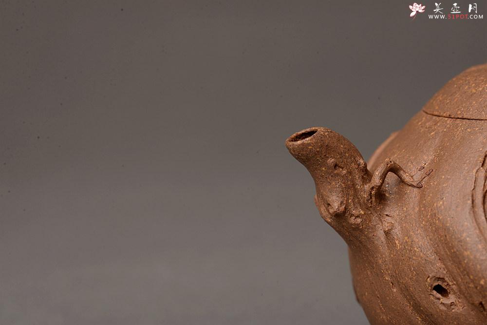 紫砂壶图片：林月长乙未冬全手原创精品 肌理丰富 紫砂新风 学院派  麒麟山音 - 美壶网