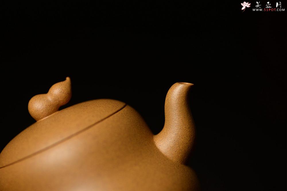 紫砂壶图片：曲峰最新作品  乾坤葫芦 福禄吉祥 纯正优质段 - 美壶网