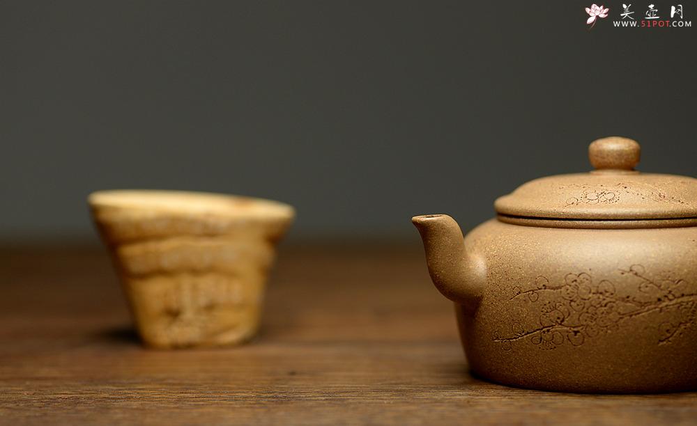 紫砂壶图片：国助工唐文新作 五彩段泥隐乐壶  端庄秀气 助工袁德波装饰 - 美壶网