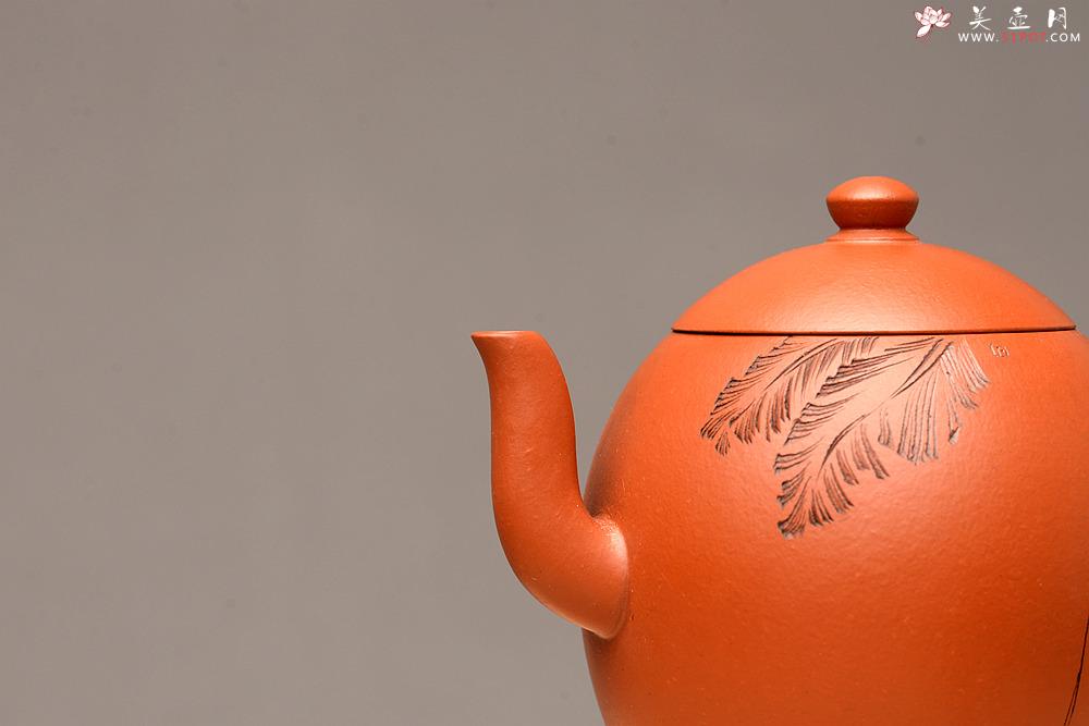 紫砂壶图片：徐亚春新品 优质朱泥 秀气可人 元静 游心堂主人装饰 - 美壶网