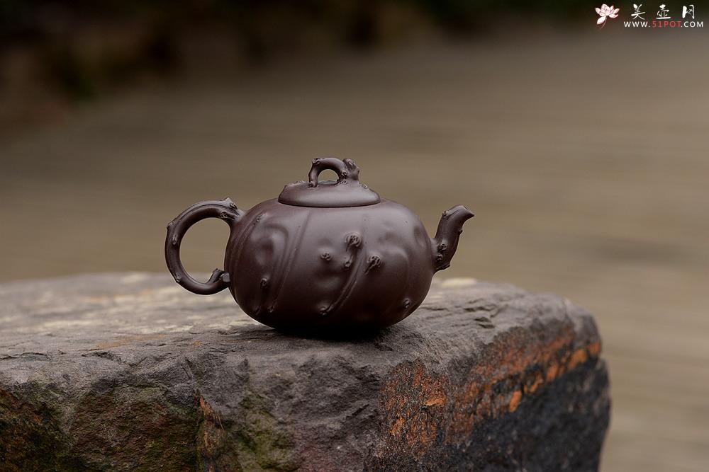 紫砂壶图片：灵秀俊美 自然清趣 玉露 典雅大气 原创作品孙伟强张新亚合作 - 美壶网
