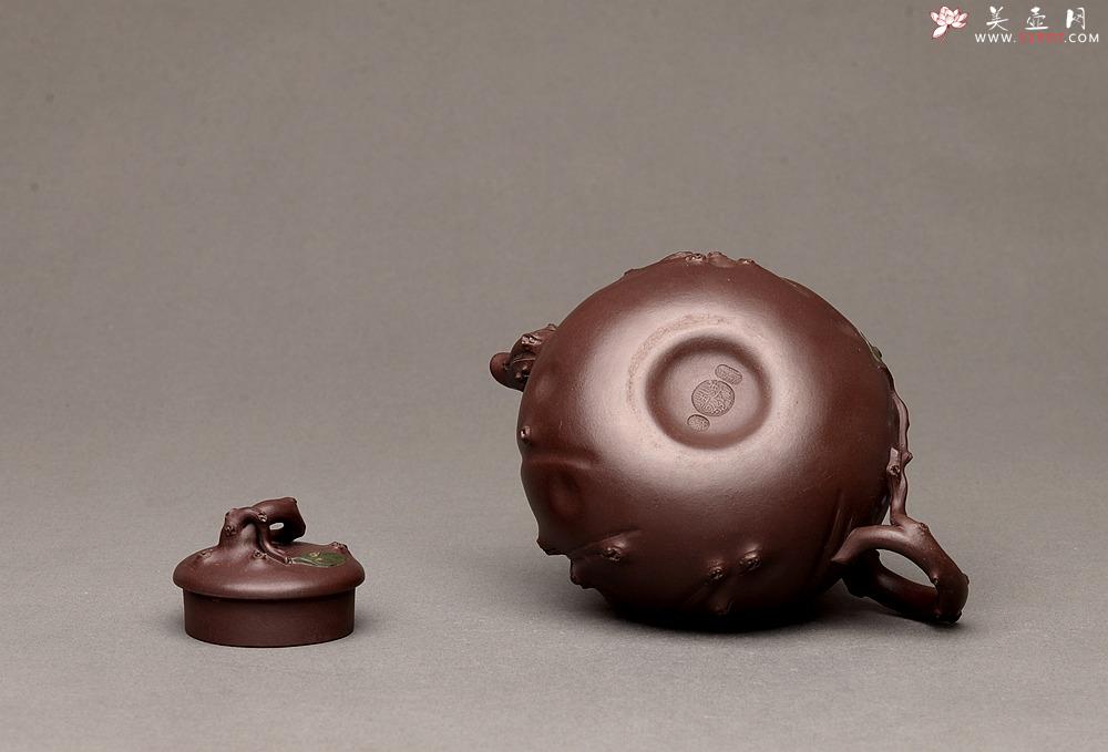 紫砂壶图片：灵秀俊美 自然清趣 玉露 典雅大气 原创作品孙伟强张新亚合作 - 美壶网