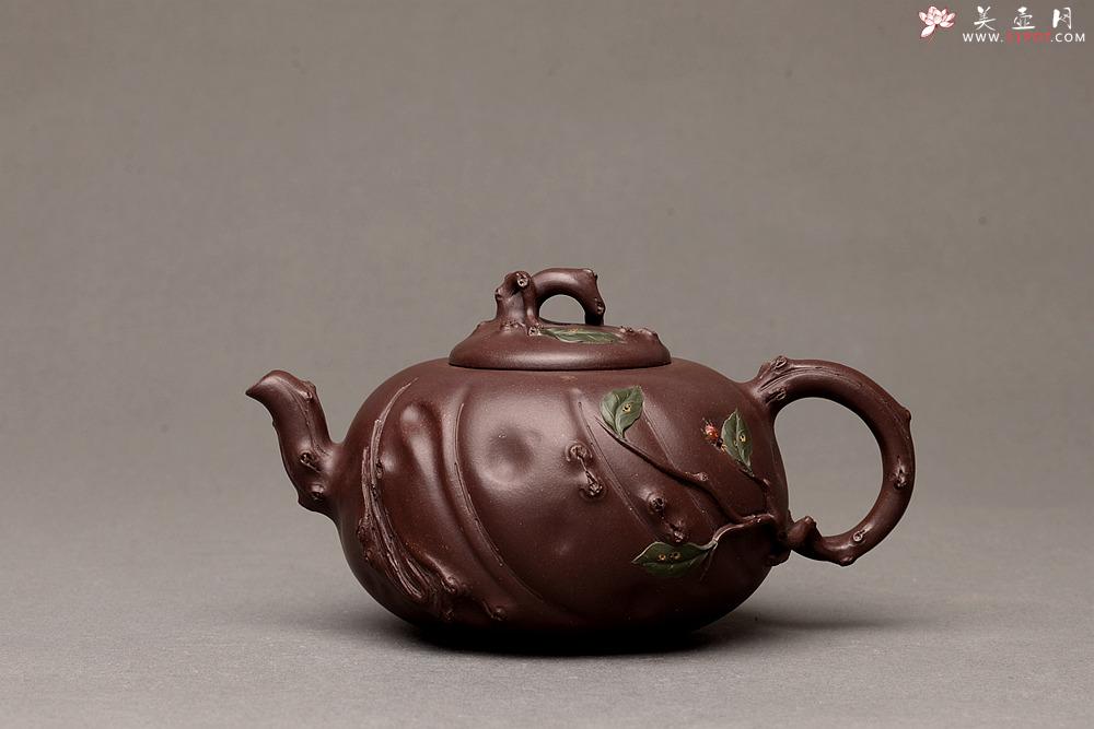 紫砂壶图片：灵秀俊美 自然清趣 玉露 典雅大气 原创作品孙伟强张新亚合作 - 美壶网