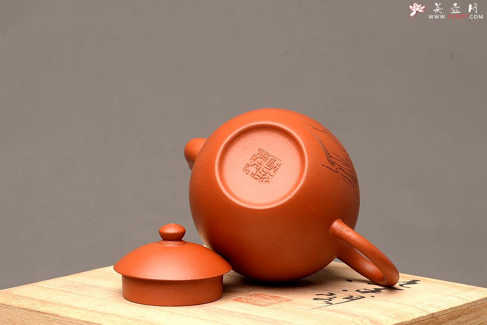 紫砂壶图片：徐亚春新品 优质朱泥 秀气可人 元静 游心堂主人装饰 - 美壶网