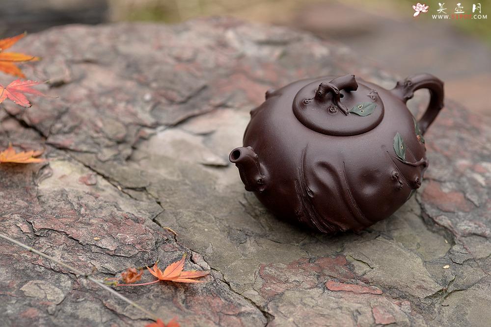 紫砂壶图片：灵秀俊美 自然清趣 玉露 典雅大气 原创作品孙伟强张新亚合作 - 美壶网