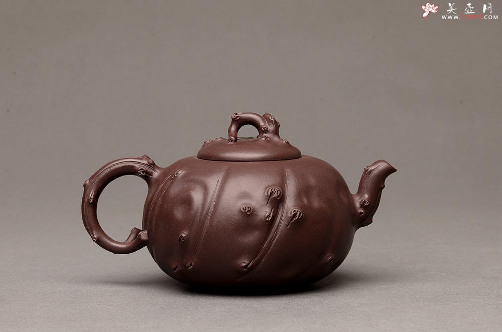 紫砂壶图片：灵秀俊美 自然清趣 玉露 典雅大气 原创作品孙伟强张新亚合作 - 美壶网
