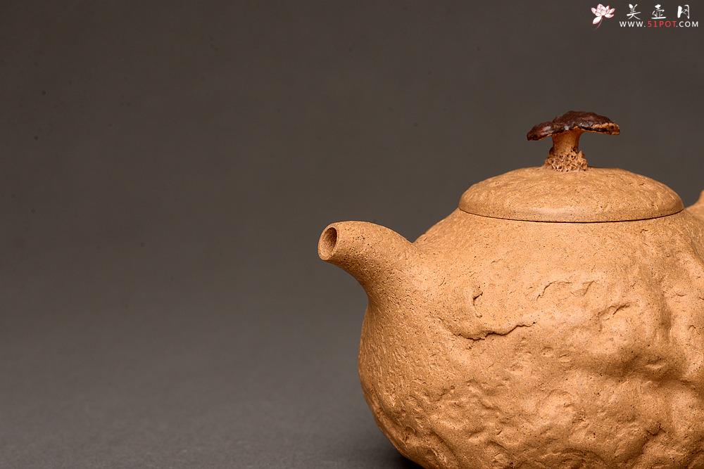 紫砂壶图片：谢多莲全手龚春套组~ 非常好玩 古朴之味 自然生动 - 美壶网