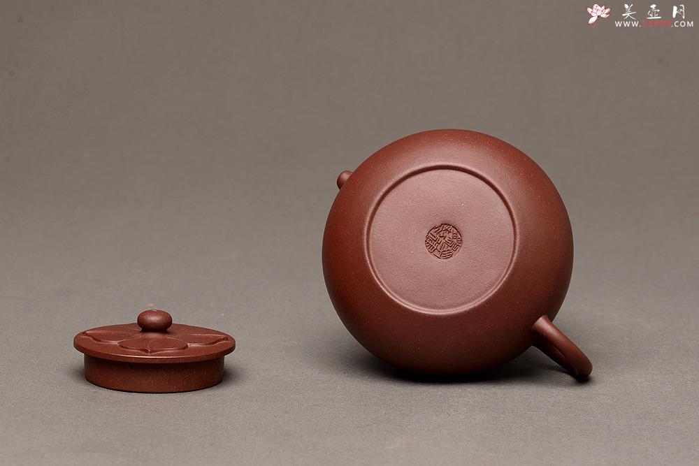 紫砂壶图片：马建鹏新品 饱满可人 有趣实用 莲华壶 美壶特惠  - 美壶网