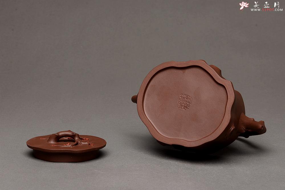 紫砂壶图片：单志萍老师新品 精品全手提梁梅桩 难度大 立体梅花~精神喜庆 - 美壶网