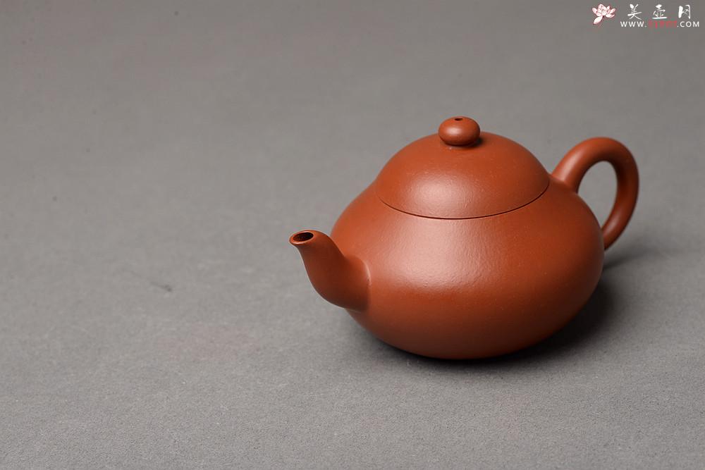 紫砂壶图片：经典传统 优质朱泥梨形 极易泡养朱泥 器形端庄  - 美壶网