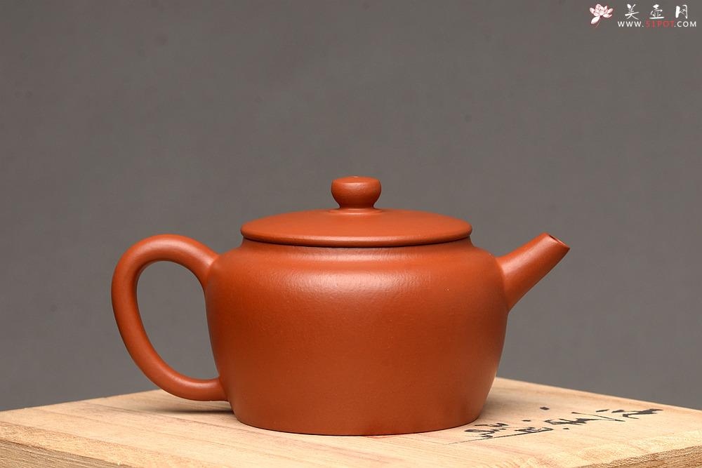 紫砂壶图片：超级实用精品~ 赵庄朱泥之小桑园 - 美壶网