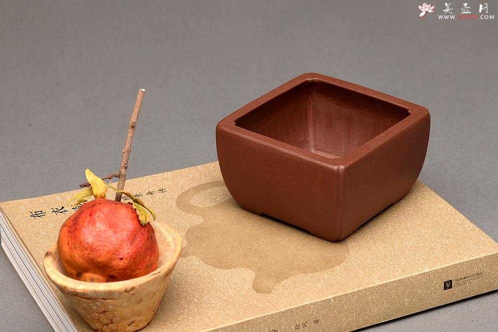 紫砂壶图片：张秋平全手四方花盆 美壶网回馈之作 更加漂亮  - 美壶网