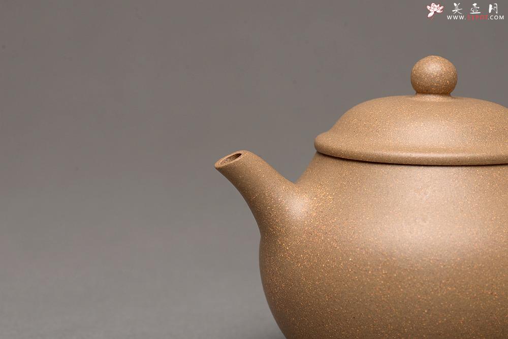 紫砂壶图片：美壶特惠 优质青段 文气佳品 经典实用 潘壶 - 美壶网