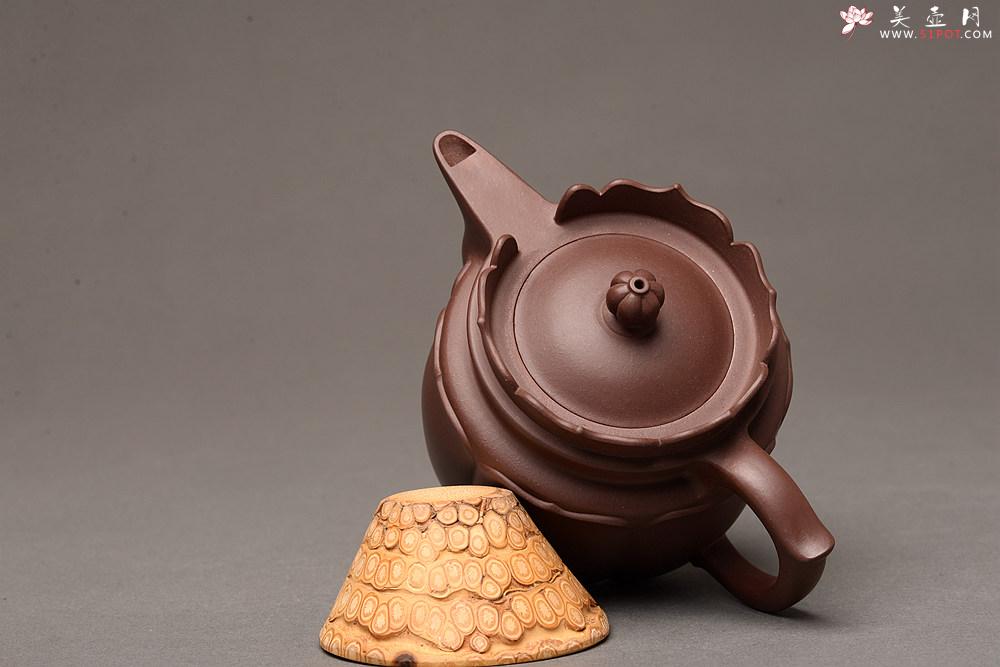 紫砂壶图片：蔡旭伟乙未冬 精美之作 全手莲花僧帽 娴静品茗 书房雅器 - 美壶网