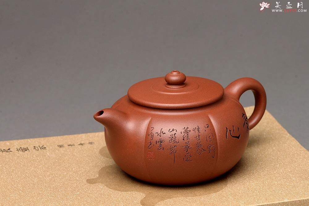 紫砂壶图片：钱伟刚最新作品 饱满 器形端庄 素心 - 美壶网