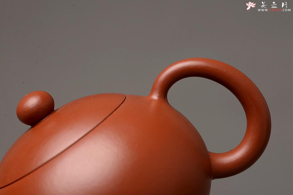 紫砂壶图片：优质朱泥 做工精致 西施 喜人 经典传统 - 美壶网