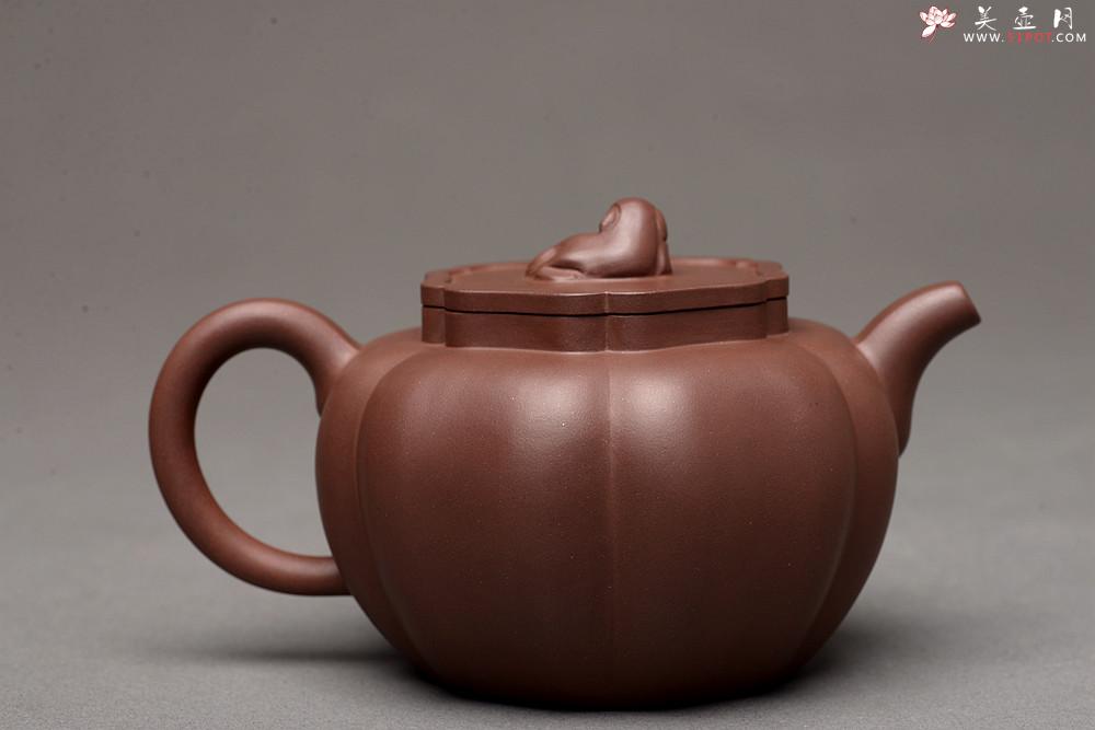 紫砂壶图片：酒虎全手 乙未冬精品佳作 做工精致 狮球二式 推荐~ 优质紫泥 - 美壶网