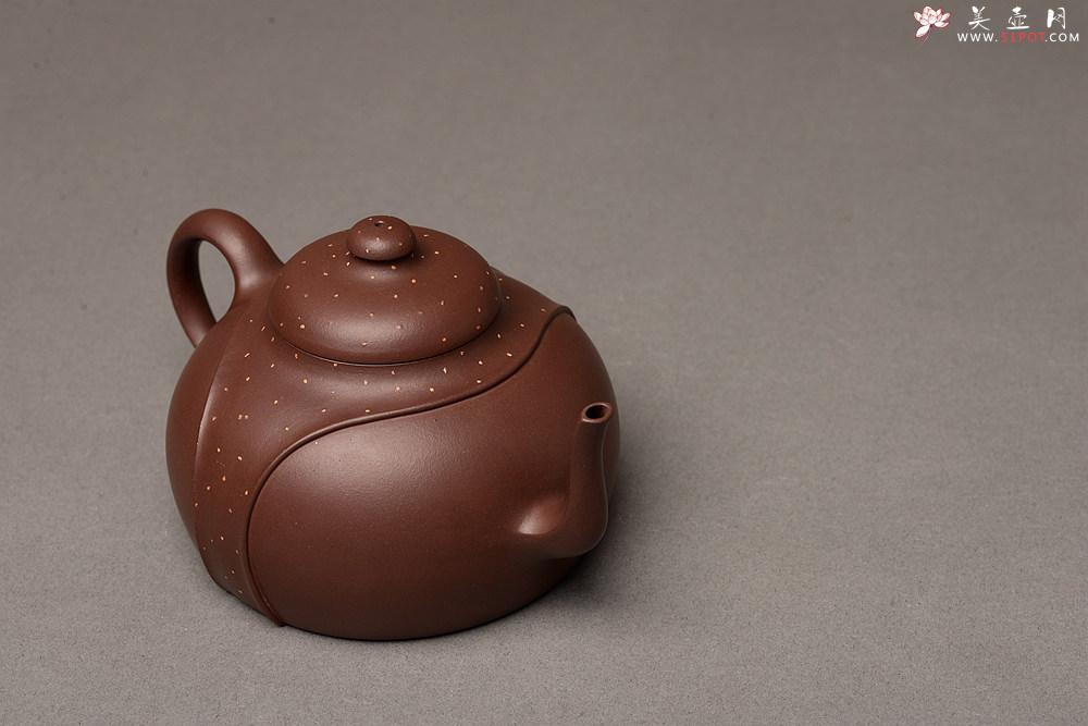 紫砂壶图片：徐正涛经典代表作 乙未冬全手作品  演绎经典传统 精工 龙带对壶 - 美壶网