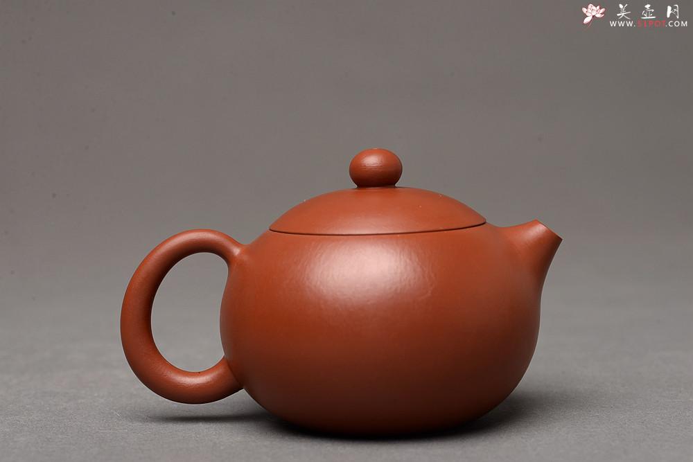 紫砂壶图片：优质朱泥 做工精致 西施 喜人 经典传统 - 美壶网