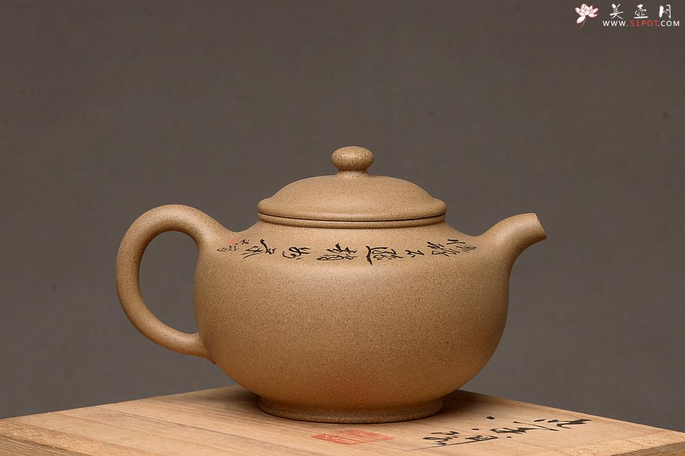 紫砂壶图片：灵巧喜人 悟禅 宝鼎 - 美壶网
