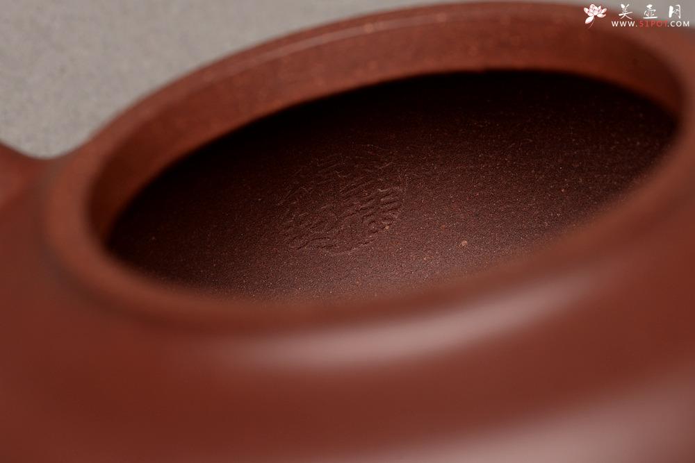 紫砂壶图片：马建鹏新品 饱满可人 有趣实用 莲华壶 美壶特惠  - 美壶网