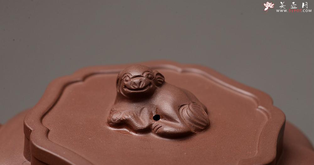 紫砂壶图片：酒虎全手 乙未冬精品佳作 做工精致 狮球二式 推荐~ 优质紫泥 - 美壶网