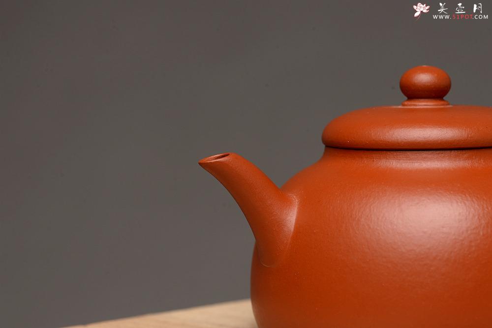 紫砂壶图片：美壶特惠 优质朱泥 娇艳迷人 逸公 秀气可人 - 美壶网