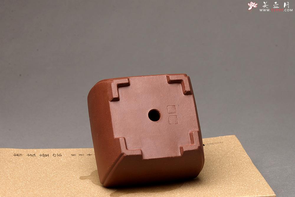 紫砂壶图片：张秋平全手四方花盆 美壶网回馈之作 更加漂亮  - 美壶网